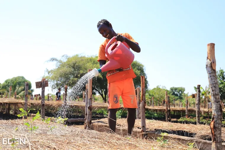 Eden Reforestation Projects