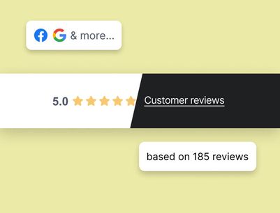 Mini Review Score
